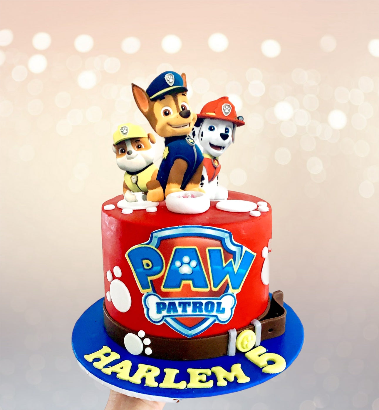 Paw Patrol Birthday Cake Sydney